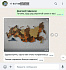 Татьяна Татьяна